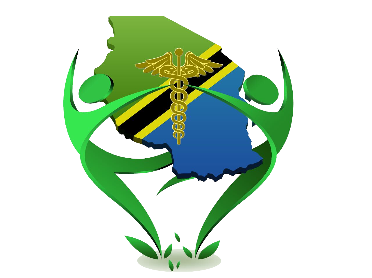 Tanzania Health and Medical Education Foundation