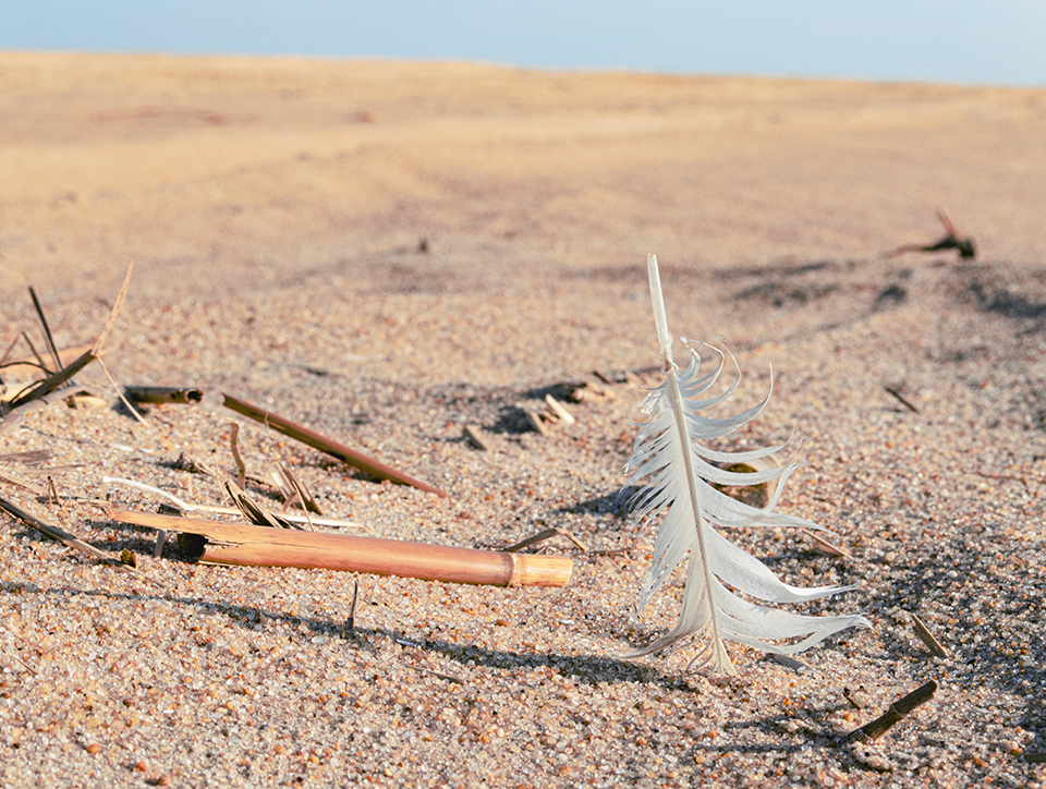This is a photo of a bird’s white feather stuck in the sand, with a couple of pieces of broken straw to the left. In the background, there is the beach, which is blurred out. In the top third of the photo, there is the blue sky.  